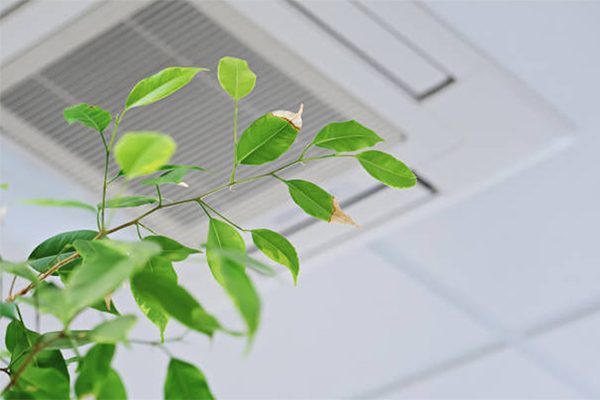 vvs køge – ventilation sundt indeklima 600×400 vvs køge - ventilation sundt indeklima 600x400